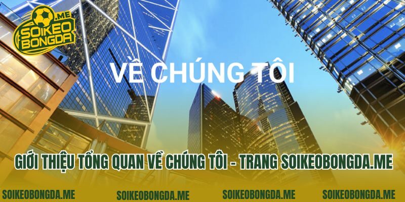 Giới thiệu tổng quan về chúng tôi - trang eina.io